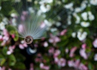 National Public Gardens Day