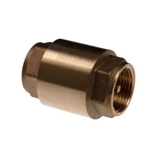 Brass Spring Loaded Check Valve