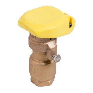 33DRC - 3/4 in. Quick Coupling Valve with 2-Piece Body